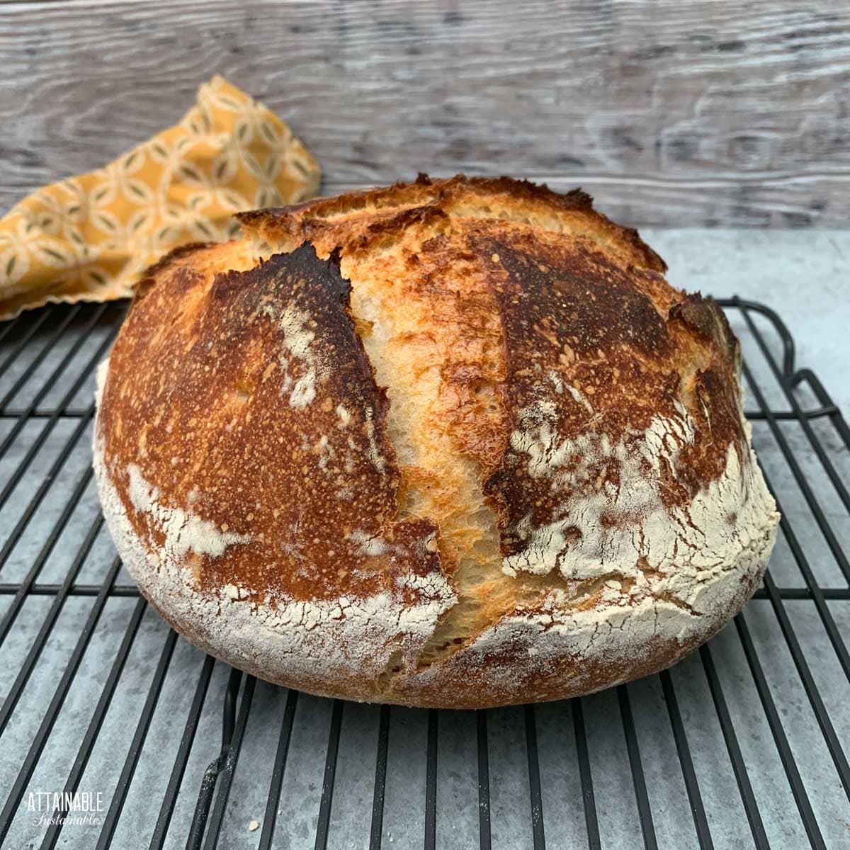 well-browned sourdough boule fresh out of the oven.