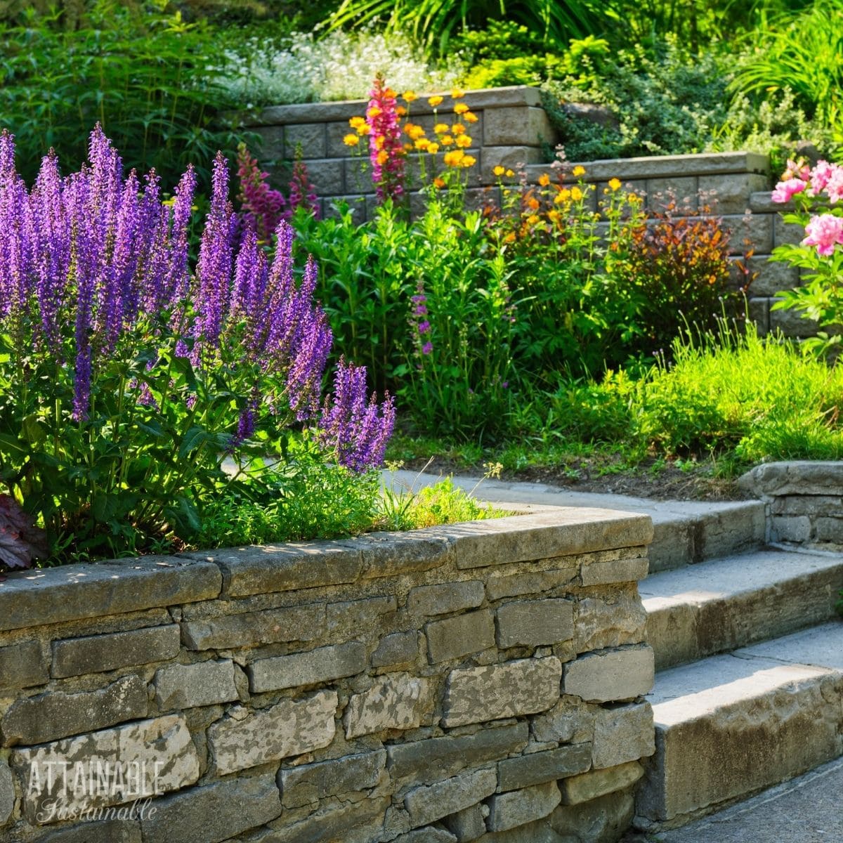 Pretty garden in raised stone planters.