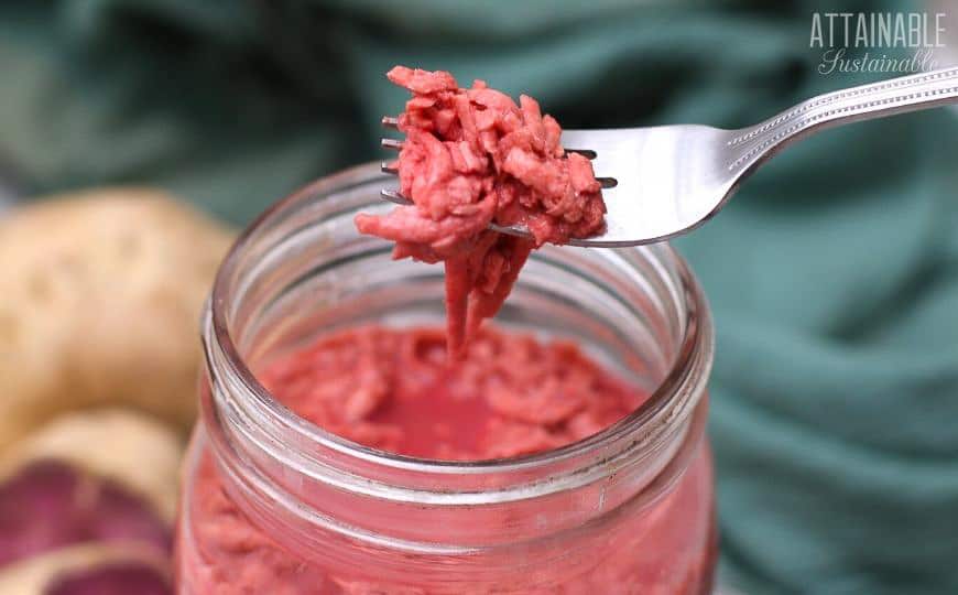 fermented sweet potatoes on a fork suspended over a glass jar