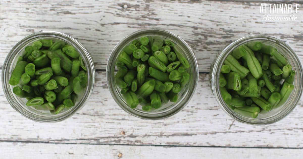 3 jars of fresh beans in a line from above