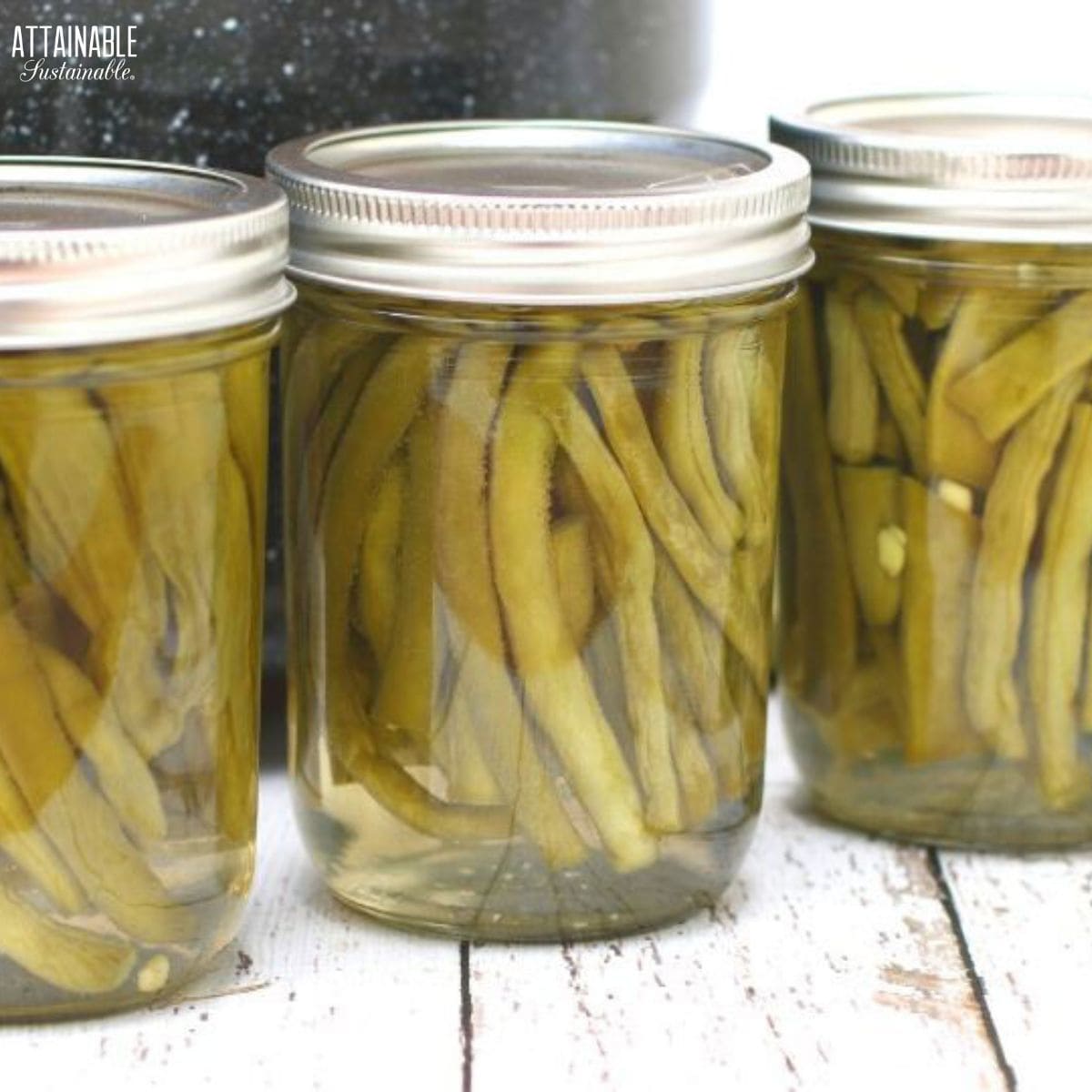 jars of pickled green beans after canning.