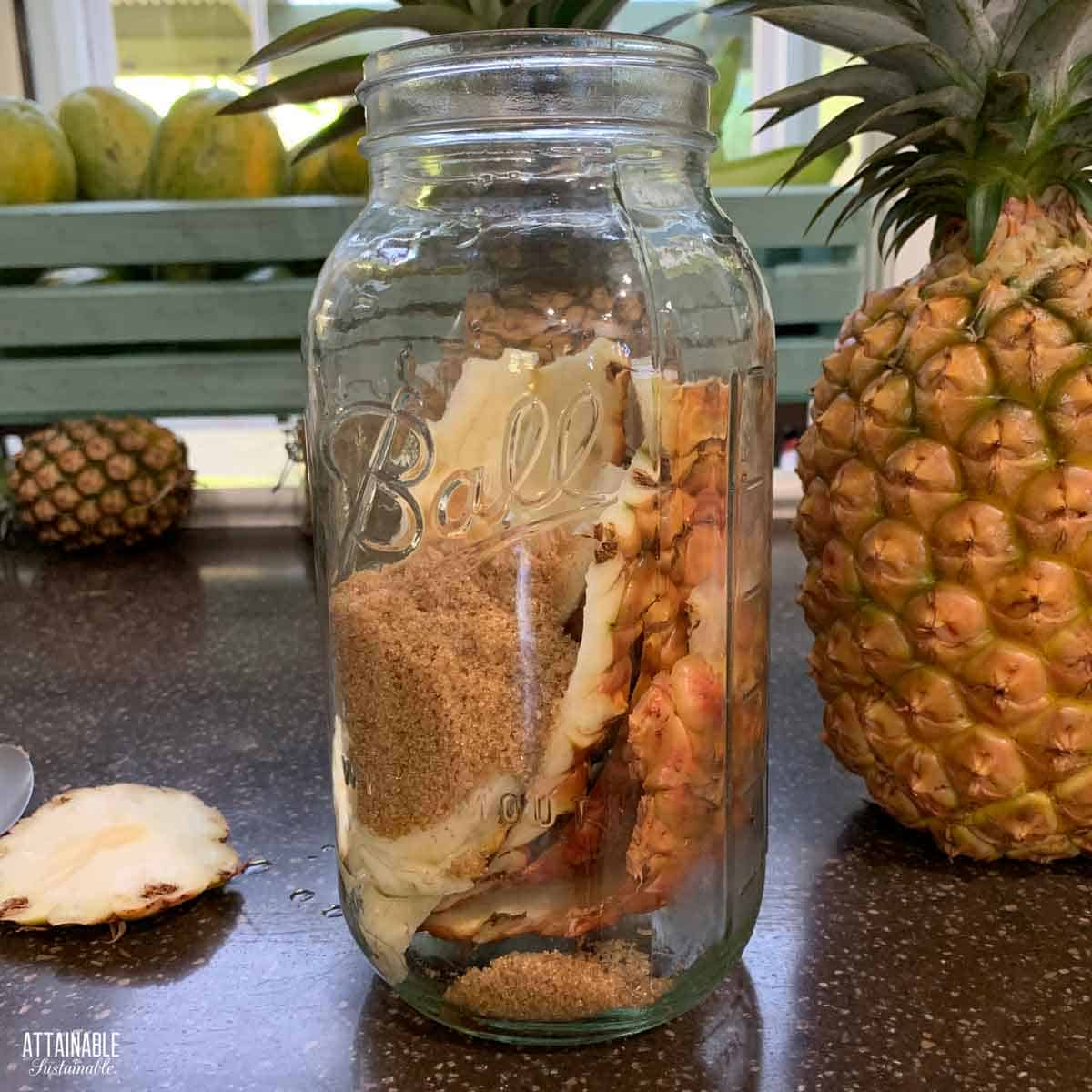 Pineapple skins and brown sugar visible in a large glass jar.