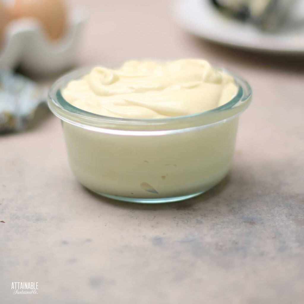 Easy 60Second Homemade Mayonnaise Recipe