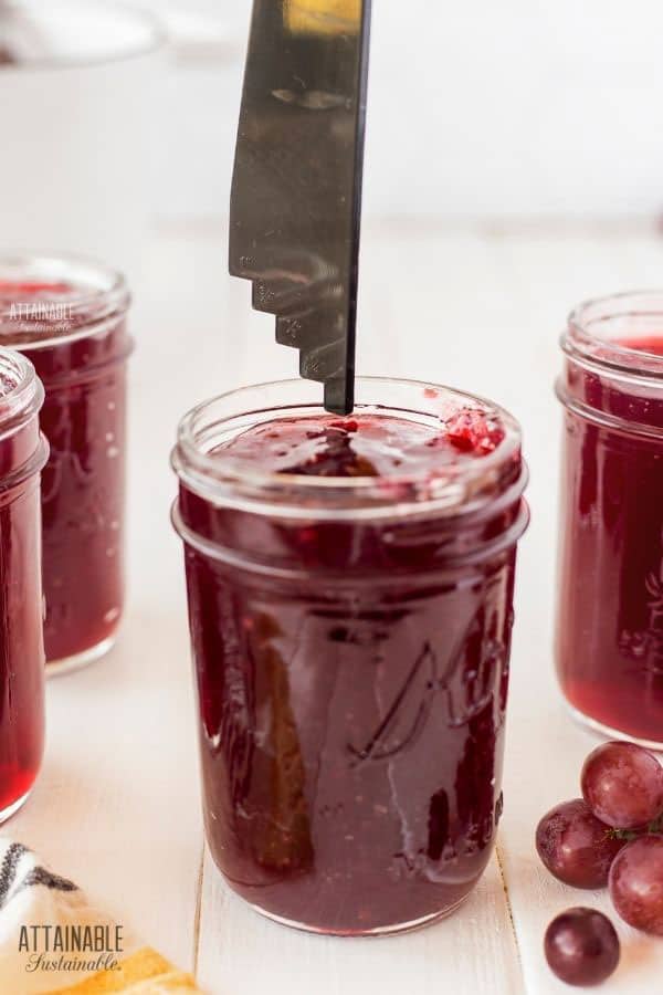 glass canning jar with jelly inside and a tool for measuring headspace 