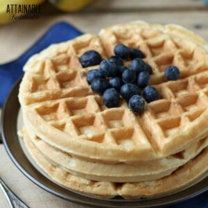 waffles topped with blueberries.