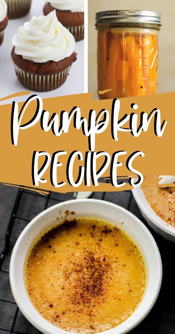 collage with: pumpkin cupcake, pumpkin spears, pumpkin custard recipe