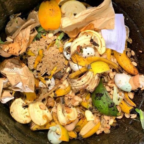 compost in a trash can