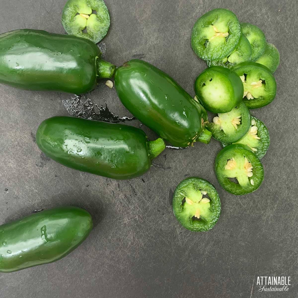 Jalapeno peppers on a cutting board, with some sliced into rings.