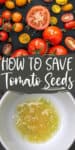 CUT open tomatoes on black background; tomato seeds in a white bowl