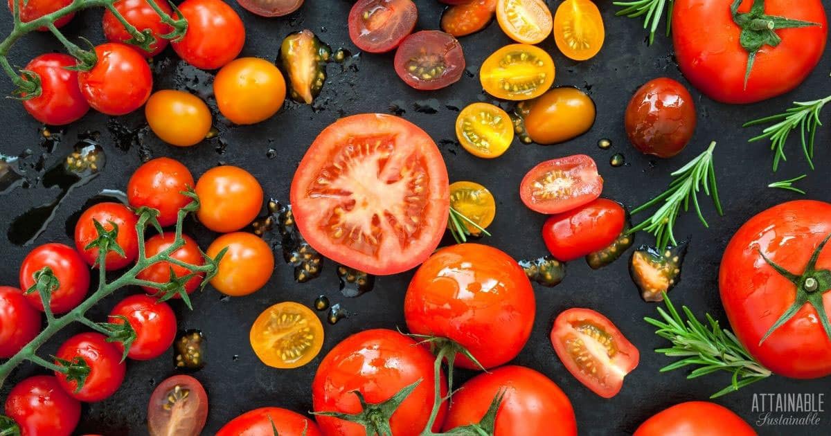 various heirloom tomatoes on a black background