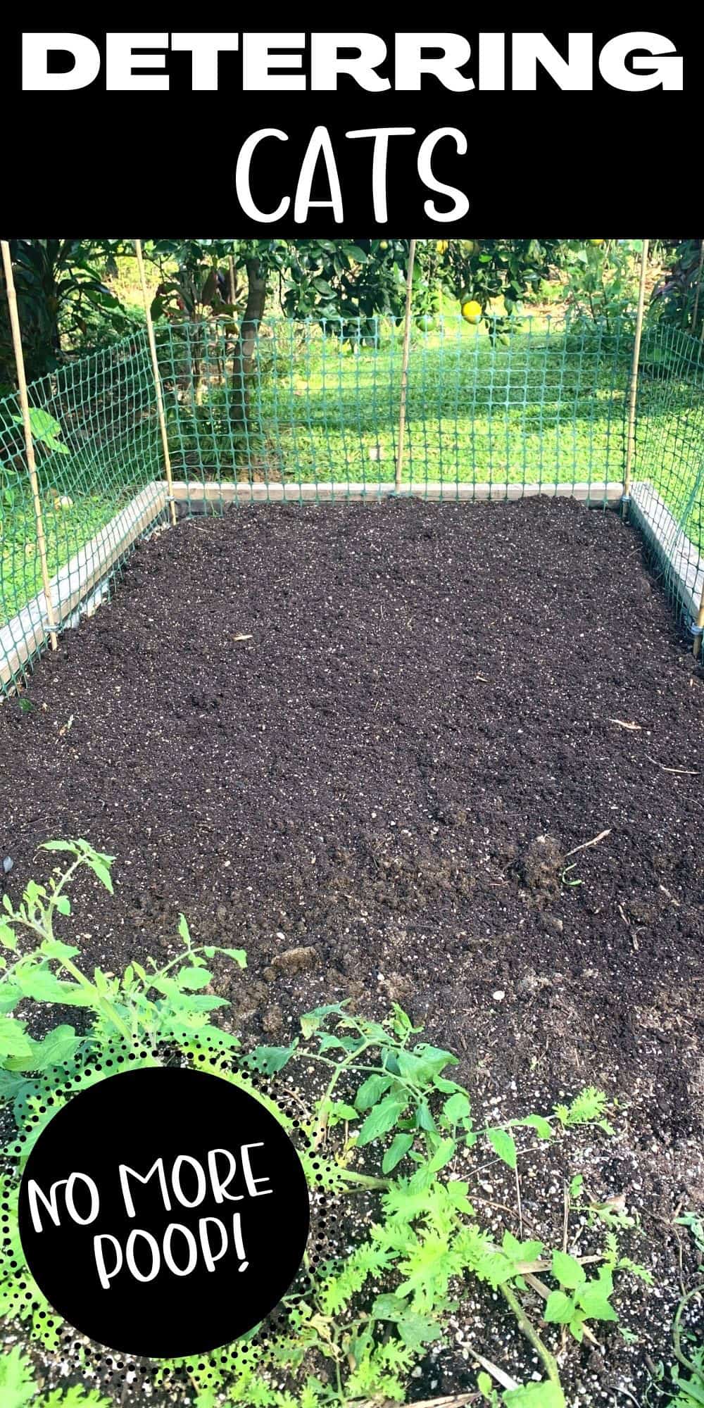 keeping-cats-out-of-the-garden-attainable-sustainable