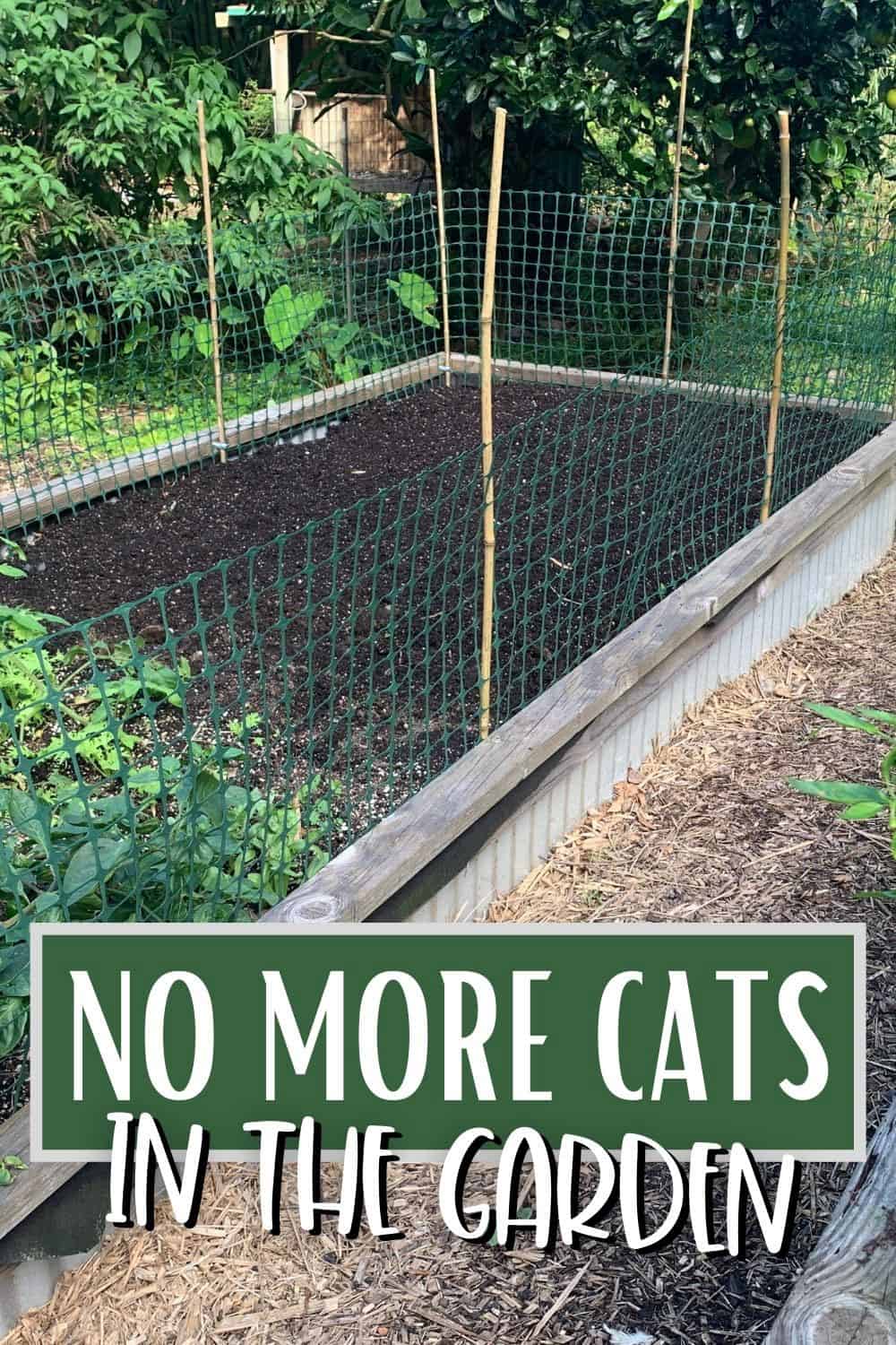 raised garden bed with fresh soil