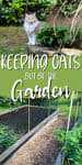 TOP; yellow cat in the garden, bottom, fenced raised bed