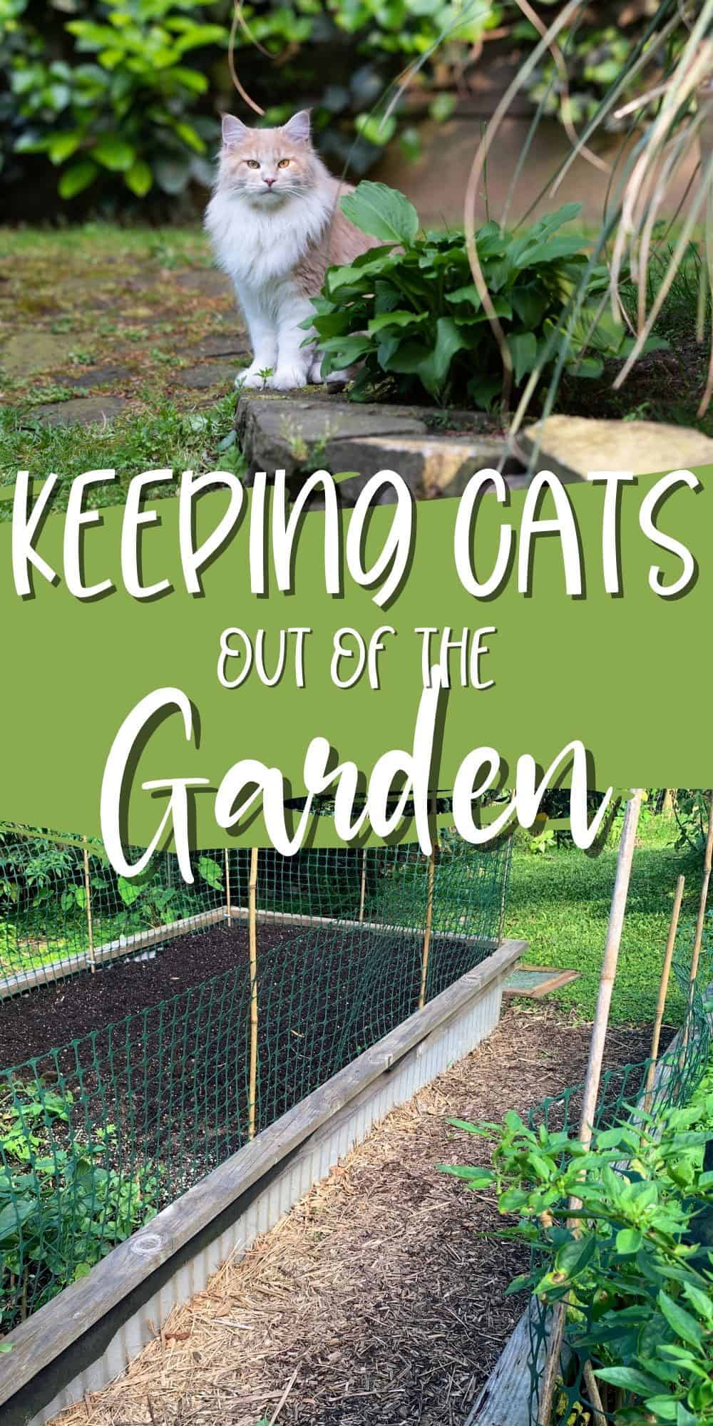 Keeping Cats Out of the Garden Attainable Sustainable®