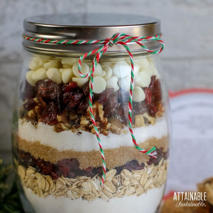 glass jar with ingredients for cookies in visible layers.