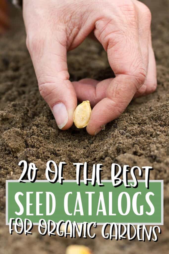 20 Suppliers of Organic, Heirloom, and NonGMO Seeds