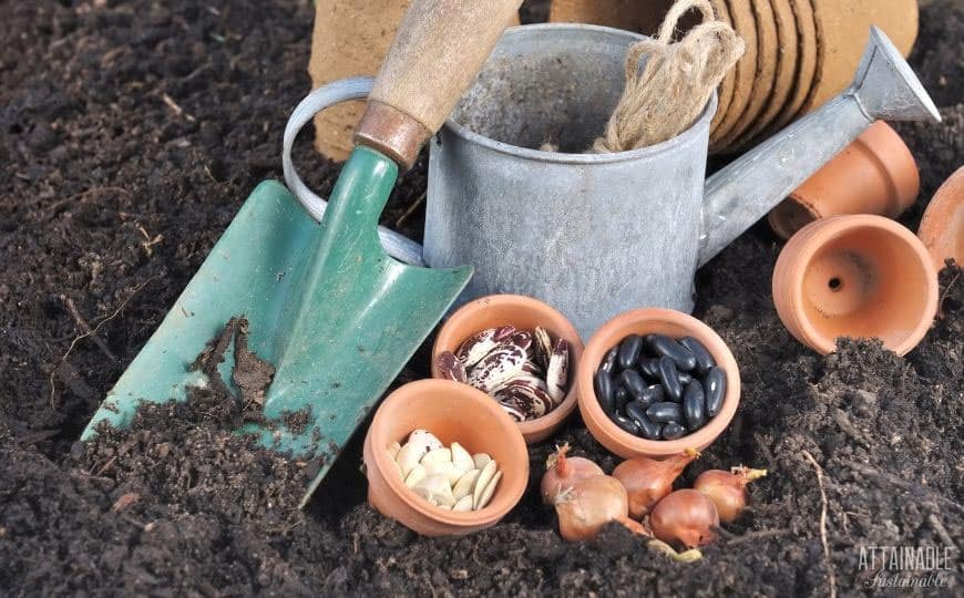 clay pots with seeds in them, alongside green trowel and watering can