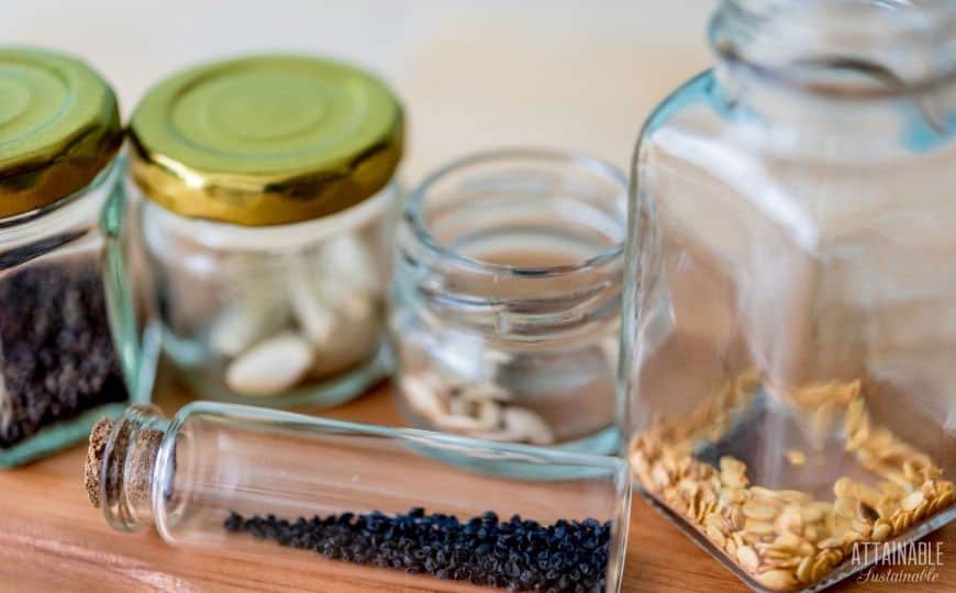 glass jars with vegetable seeds