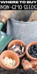 clay pots with seeds in them, alongside green trowel and watering can