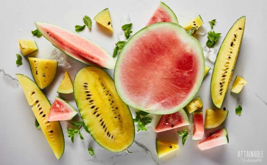yellow and red melon slices on a white background