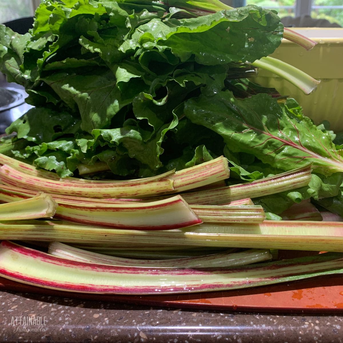 beet greens and stems.