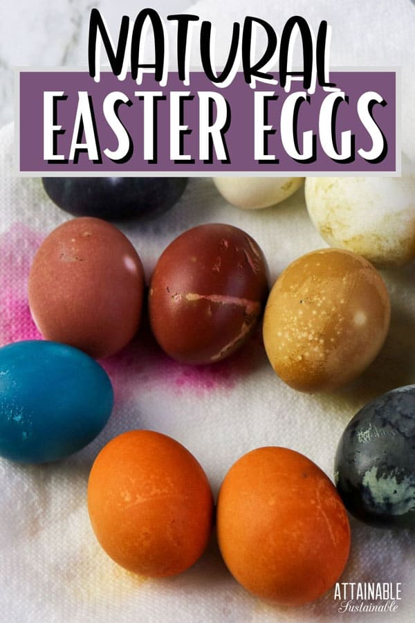 colorful easter eggs naturally dyed on a paper towel