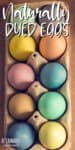 naturally dyed easter eggs in an egg carton