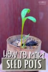 beet seedling in an upcycled seed starter pot