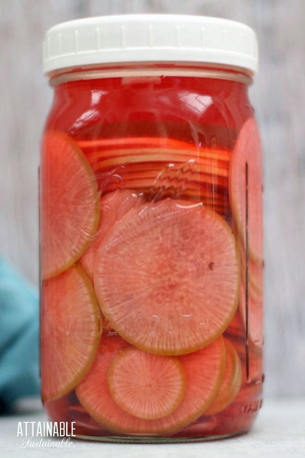 glass jar with fermented radishes