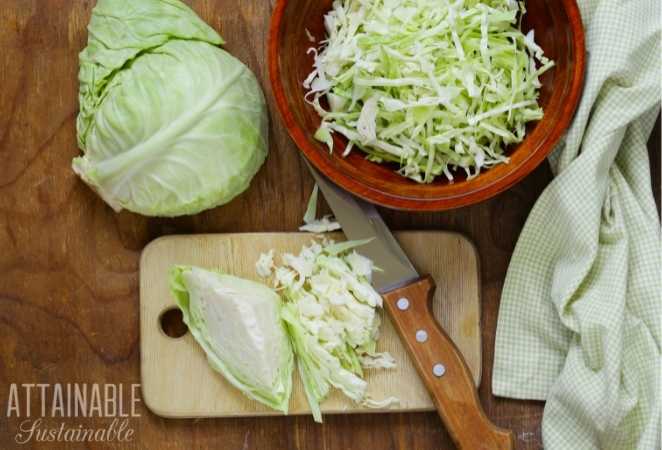 Green cabbage, sliced