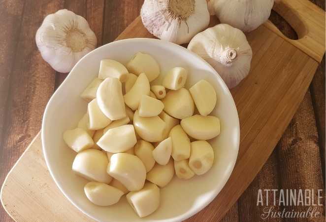 Garlic Cloves in a bowl