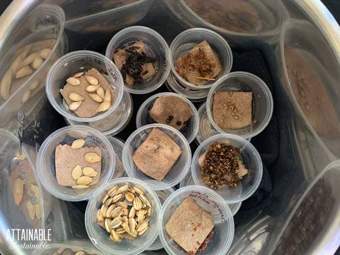 garden seeds in small round containers inside a silver pot
