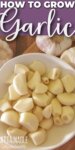 Garlic Cloves in a bowl