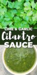 cilantro, top; green sauce, bottom