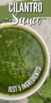 green cilantro sauce in a white dish from above
