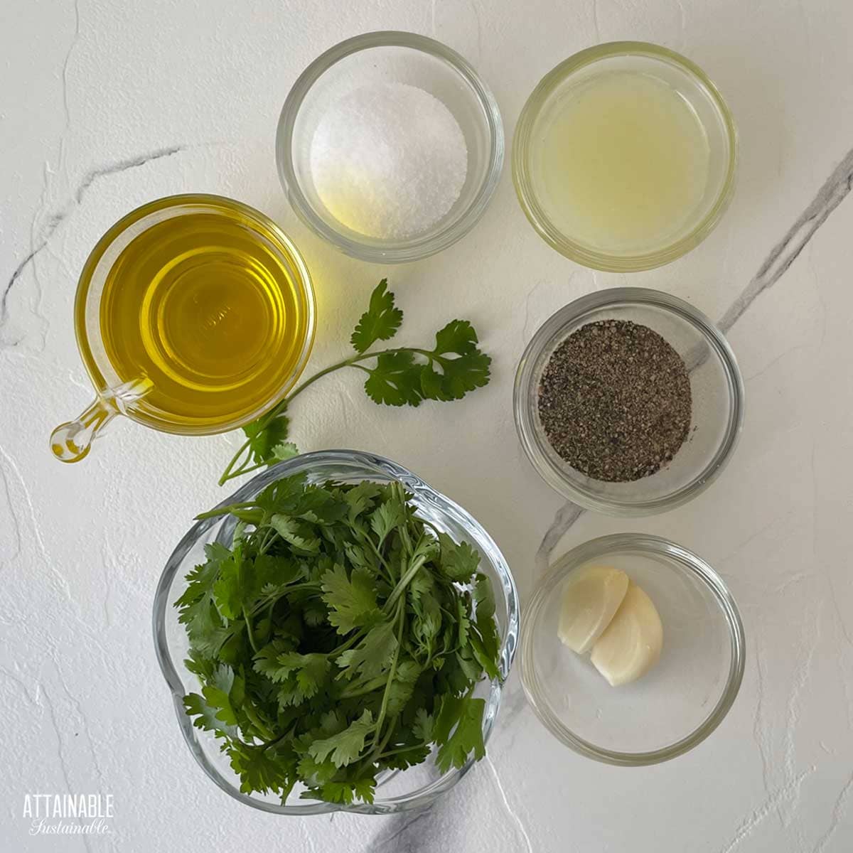 Ingredients for cilantro sauce.