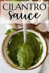 cilantro sauce on a spoon.