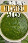 green cilantro sauce in a white dish from above