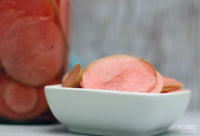 square white dish with pink sliced radishes