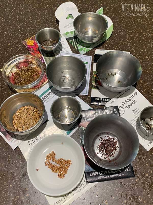 containers of seeds soaking, sitting on top of seed envelopes