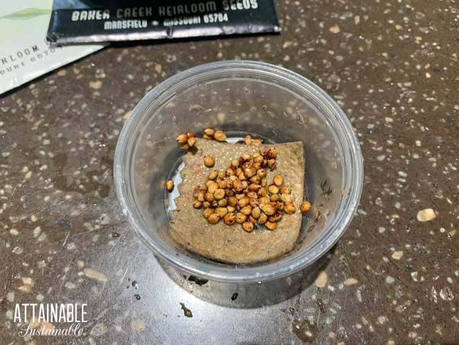 small round plastic container with a square of felt and garden seeds ready for instant pot seed germination