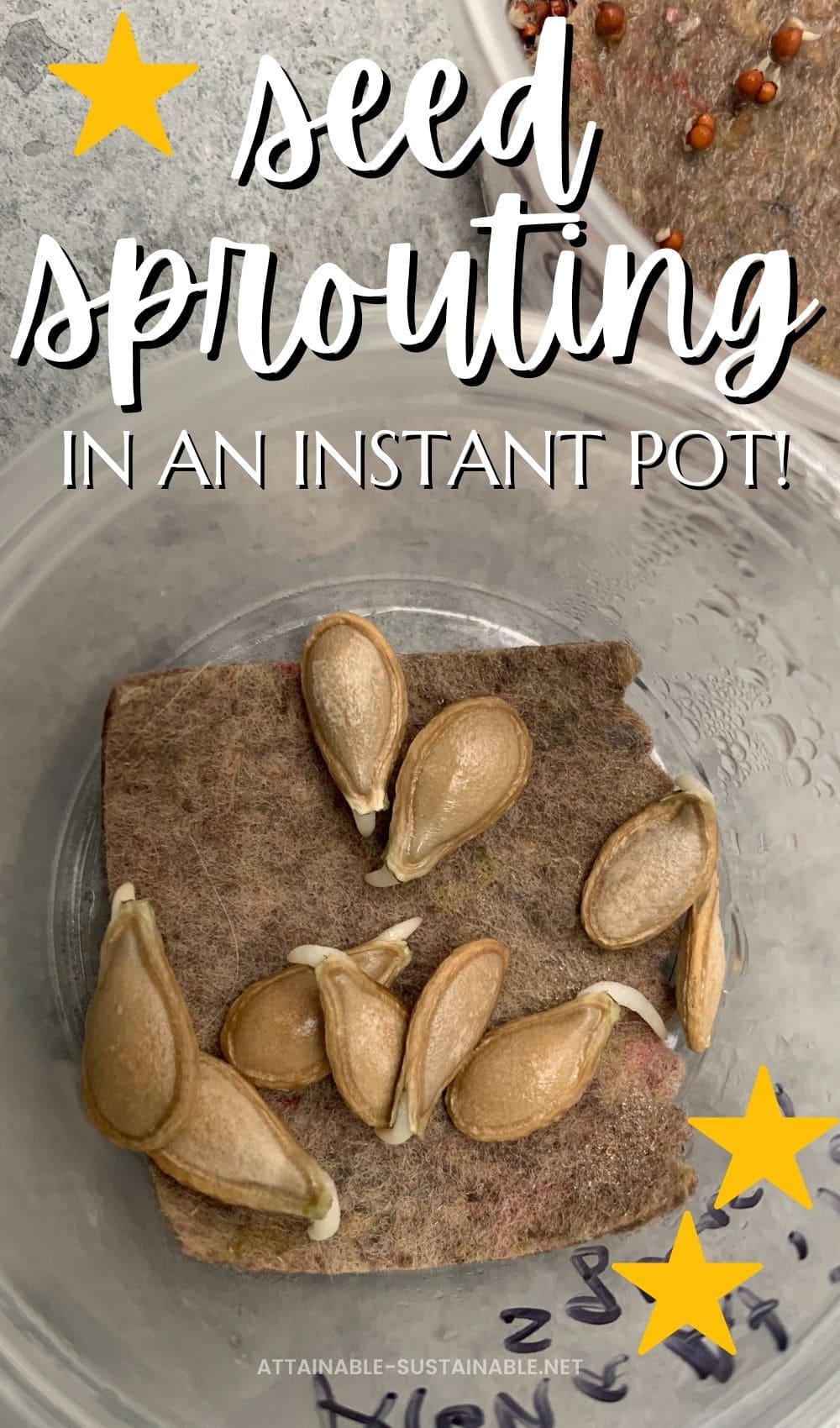 Instant Pot Seed Germination A Seed Starting Shortcut!
