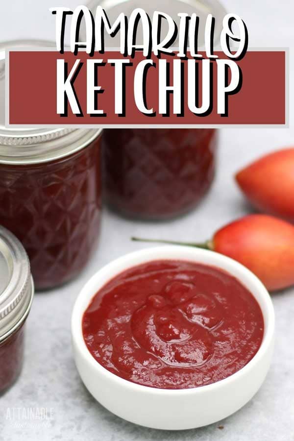 ketchup (recipe for canning) in a white dish with canning jars surrounding it