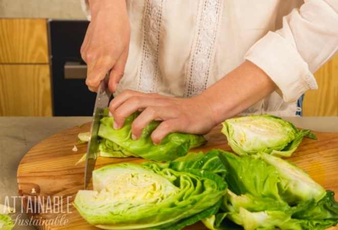 Slicing Cabbage