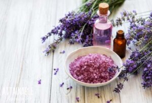 Using Lavender in cooking