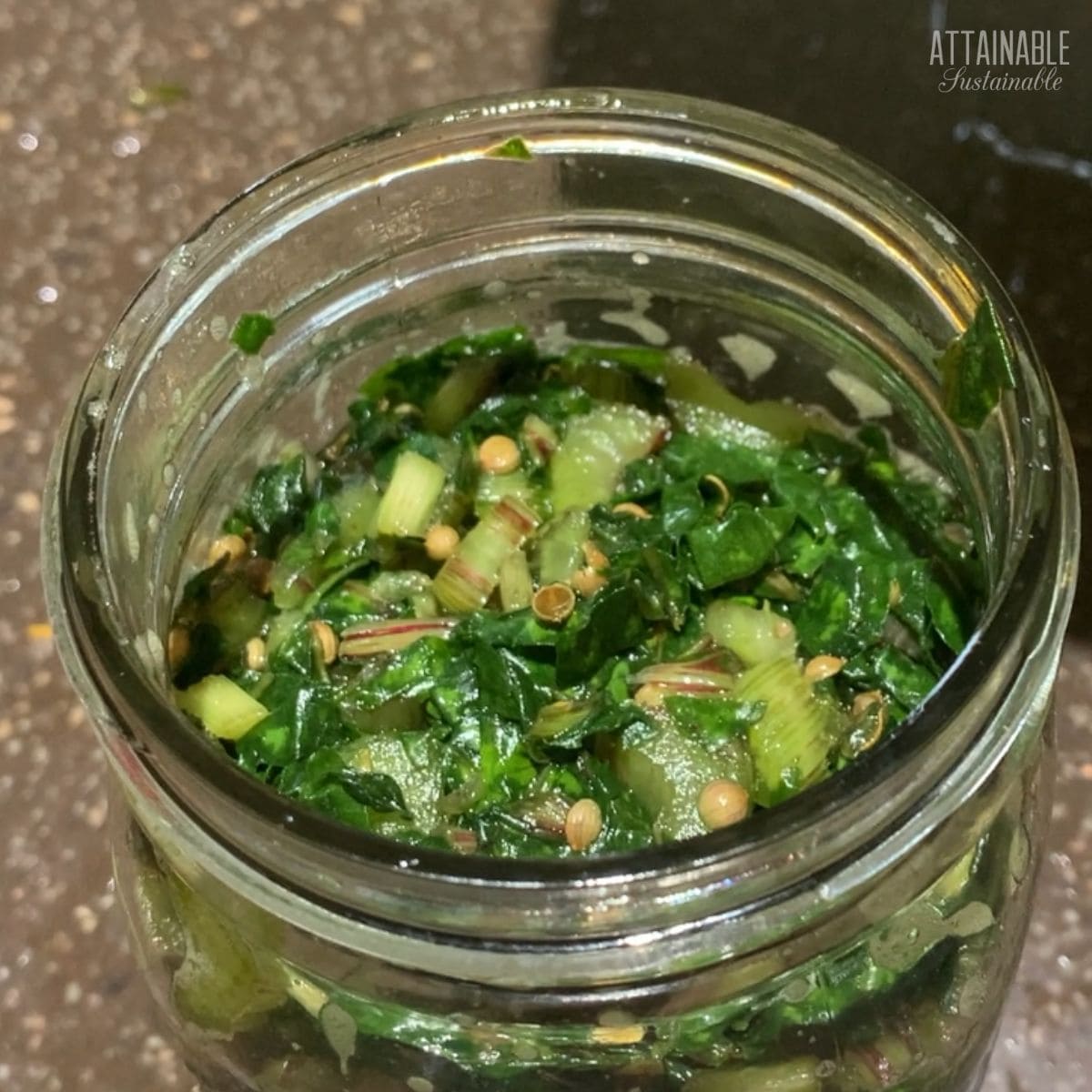 beet green sauerkraut before fermenting; still bright green.