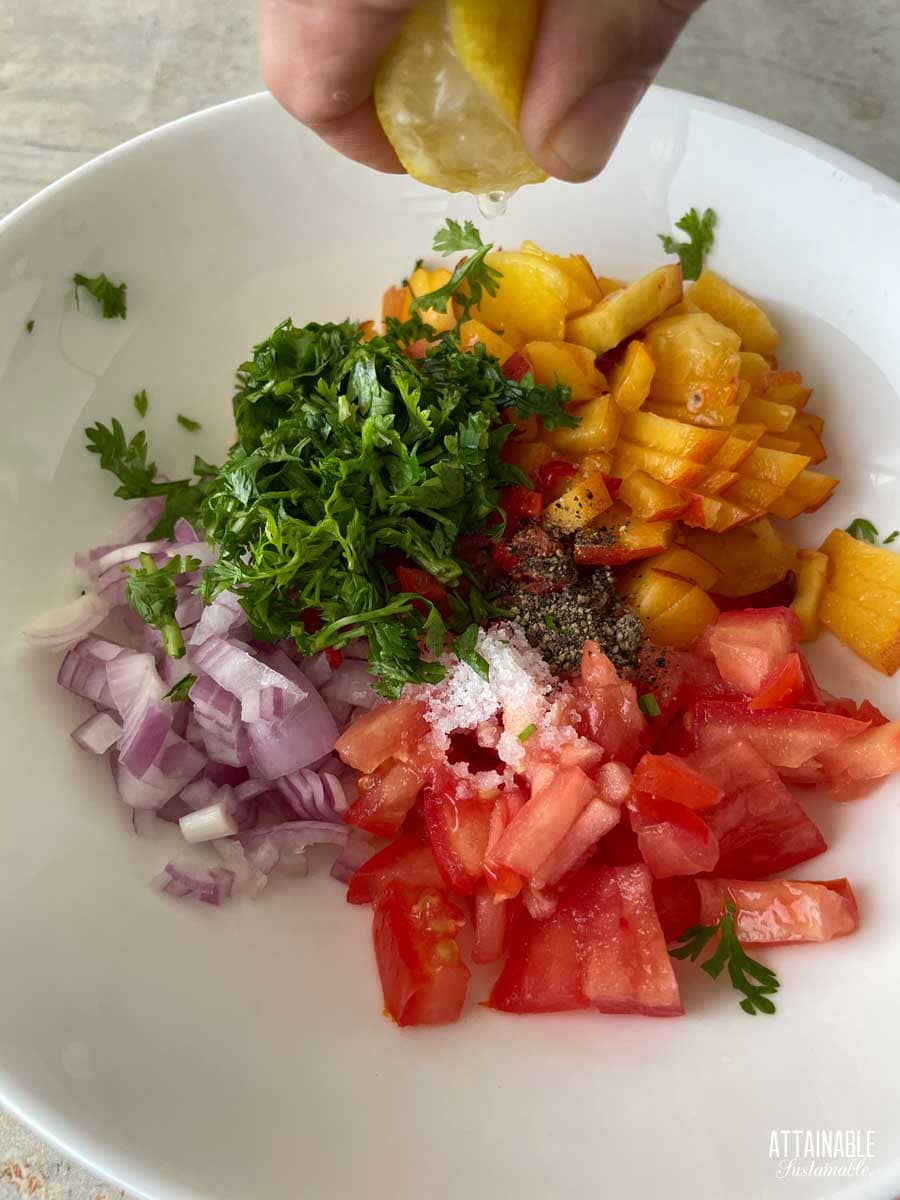 Chopped ingredients for peach habanero salsa.