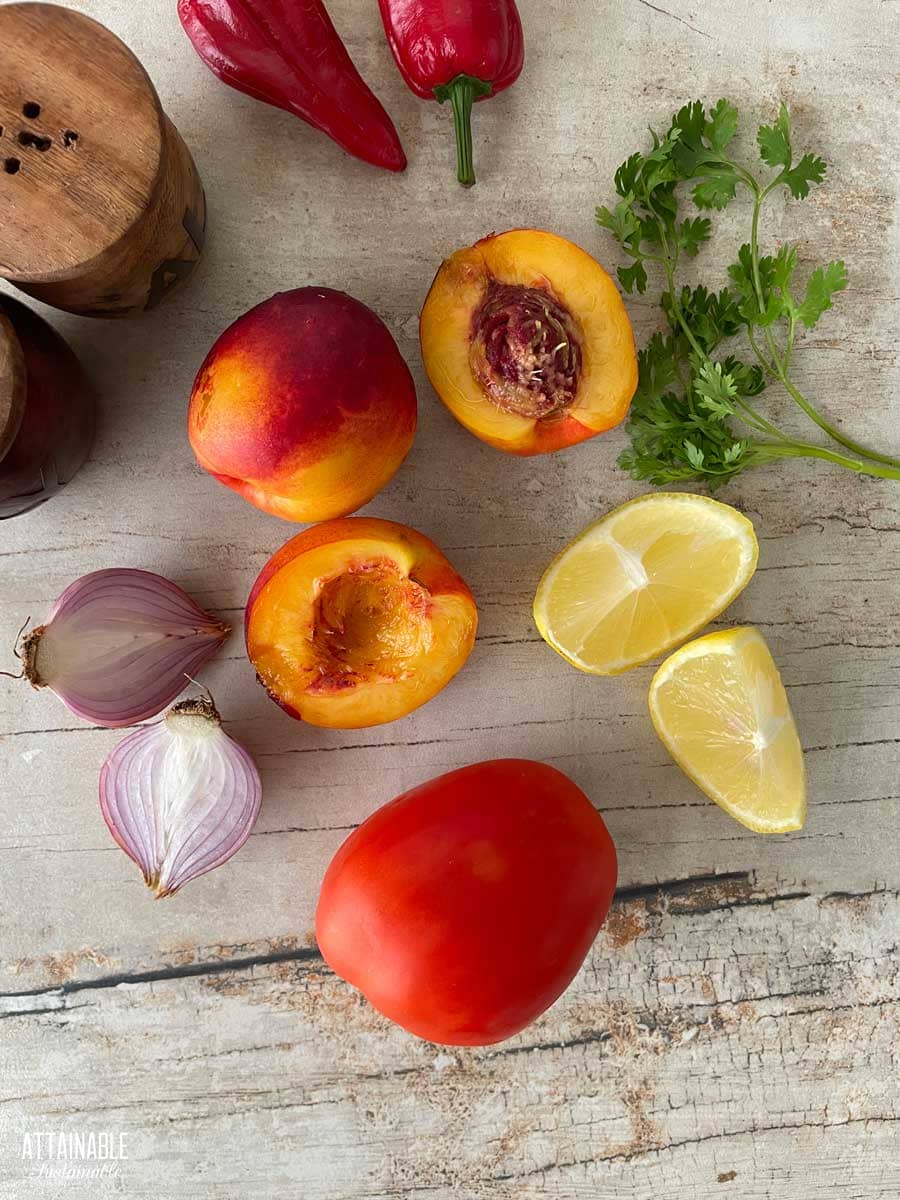 Ingredients for peach salsa: peaches, onion, lemon, roma tomato, cilantro, habanero pepper.