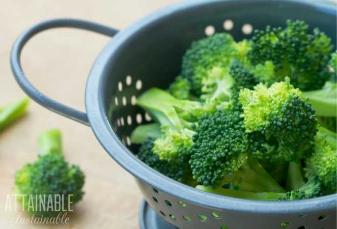 Broccoli in a silver colander