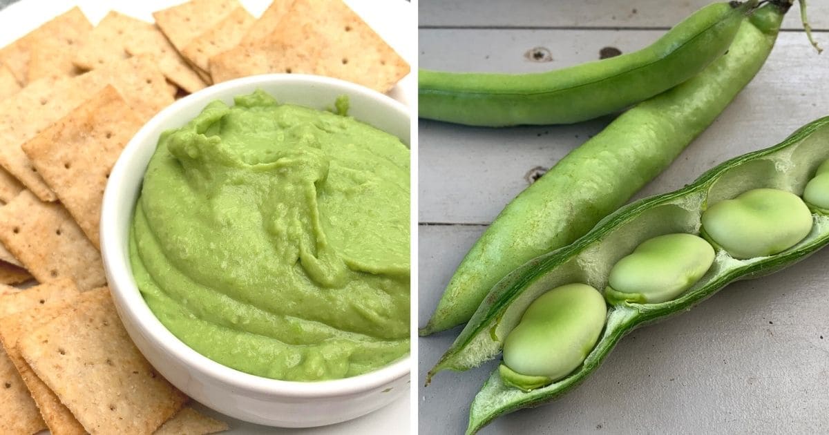 Try this Delicious Fava Bean Hummus Attainable Sustainable®